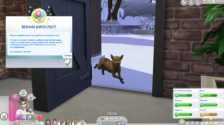 TS4-x64-2020-02-16-19-09-35-44.jpg