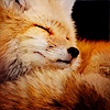 e2724d4abf34d8e970bc12de697c6d09.png