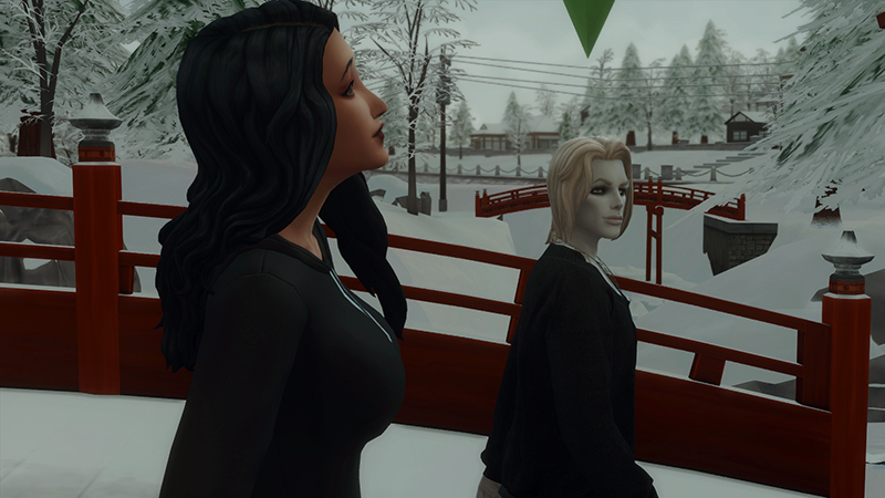 TS4-x64-2022-05-26-15-07-21-63.jpg