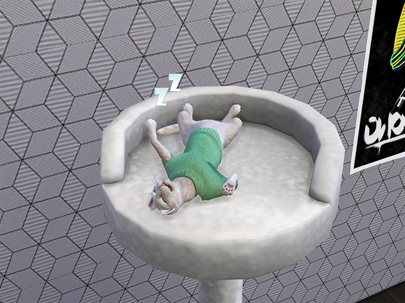 5niNB6w.png