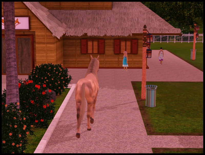 0_fd57e_efd5c56d_orig.jpg
