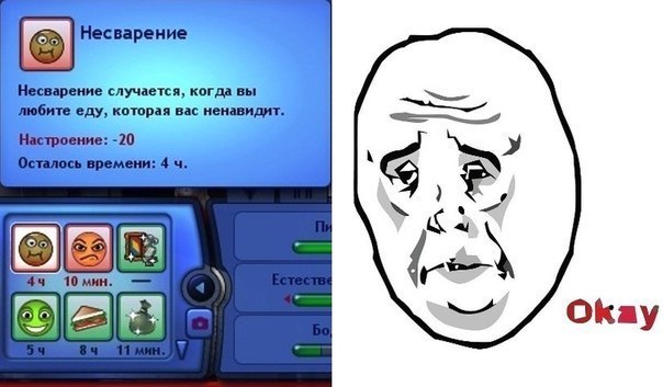 fEDDx71R45M.jpg