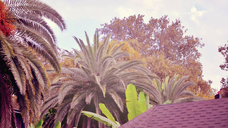 0_16b0a0_7edfef62_XL.jpg