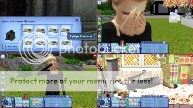 566.jpg