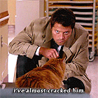 RxC2U9Q.gif