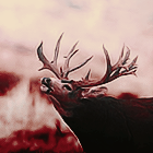 0_120f76_f201c348_orig