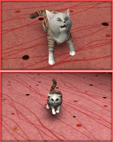 Lf9oY.png