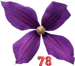 0_fb3bc_74354069_M.png