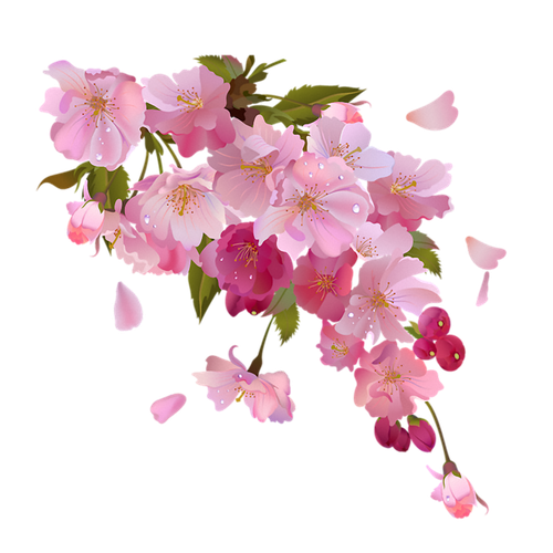 0_110927_13e07c8b_L.png