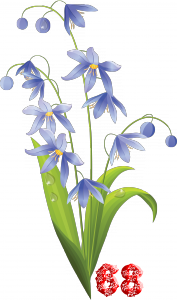 0_fb3b2_c7cca9f3_M.png