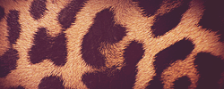 ef73fe381894c93581daab114e010f47.png