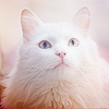 99913d89c8946c207ef5200a655b55be.png
