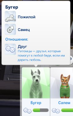 9Ge2xAZJCKg.jpg