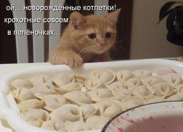 sIFuzHx.jpg