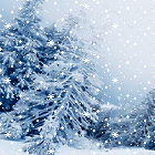 bloggif-5e00c676a9757.gif