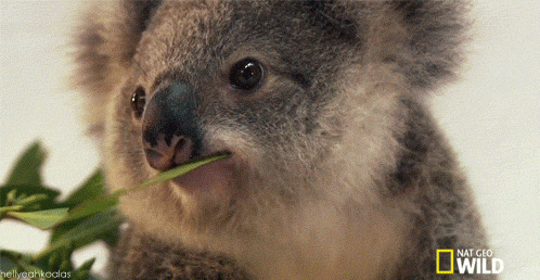 1360492000_966645210.gif