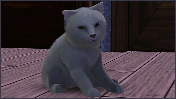 0_d79fa_4bd2398a_XL.png