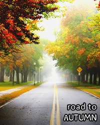 69f0e9a046d0b8ec2d5dea2a04b936a7.png