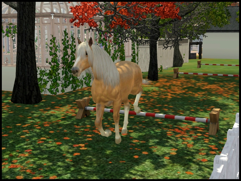 0_10c40b_5cca4a51_orig.jpg