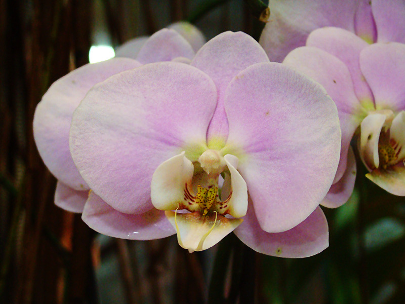 0_1acda8_b6b861c6_orig.png