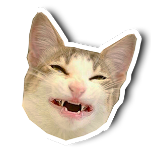 L5S0SHy.png