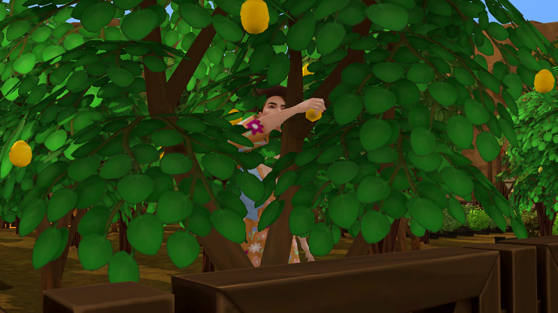 2KKPelr.png