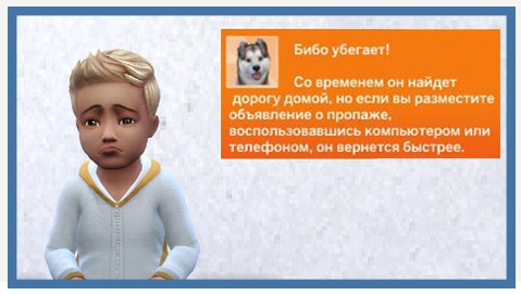 -nCRhKBwmGQ.jpg