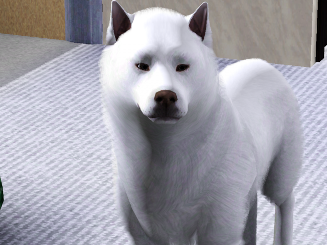 b44fa6fcf0172de4cfa104b3a1bc5bd7.png