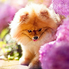 0_19eb67_f68707b0_orig.png