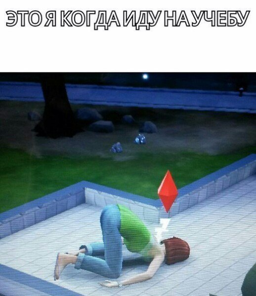 56KBXG8TFMo.jpg