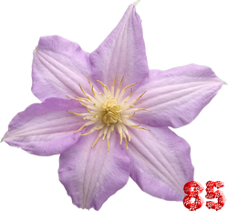 0_fb3c3_4b9745b0_M.png