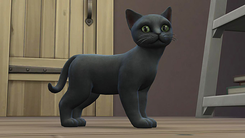 TS4-x64-2020-02-10-15-20-34-78.jpg