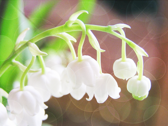 bdbe8dc062ecea4d790f3719afd5b8cf.png
