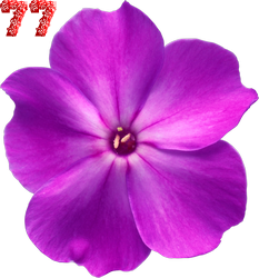 0_fb3bb_be475e56_M.png