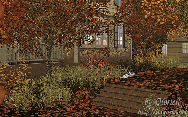 55441e32cdaf67579a3dbae2a624ea22.png