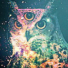 fhkrDCg.png