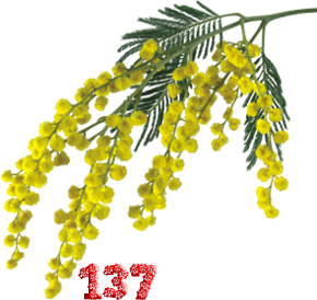 0_fb3f7_9fc69412_M.png