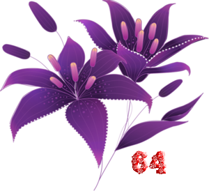 0_fb3ae_22c464f1_M.png