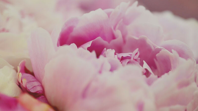 0_16620c_bfb0a821_XL.jpg