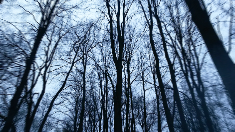 0_1a19e5_d768af05_orig.png