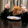 Fbh6WRa.gif
