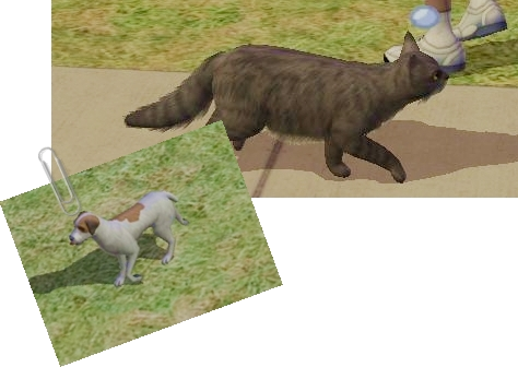 78c59a6b7e7e0eb6ea1b818fb7be2c4d.png