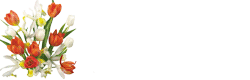 0_61749_d88d4906_GIForig.gif