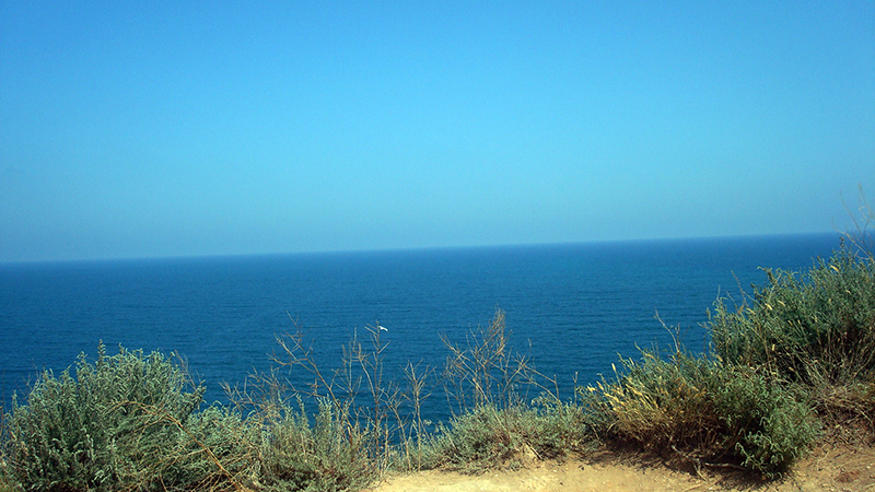 0_f408b_3088e2ed_orig.jpg