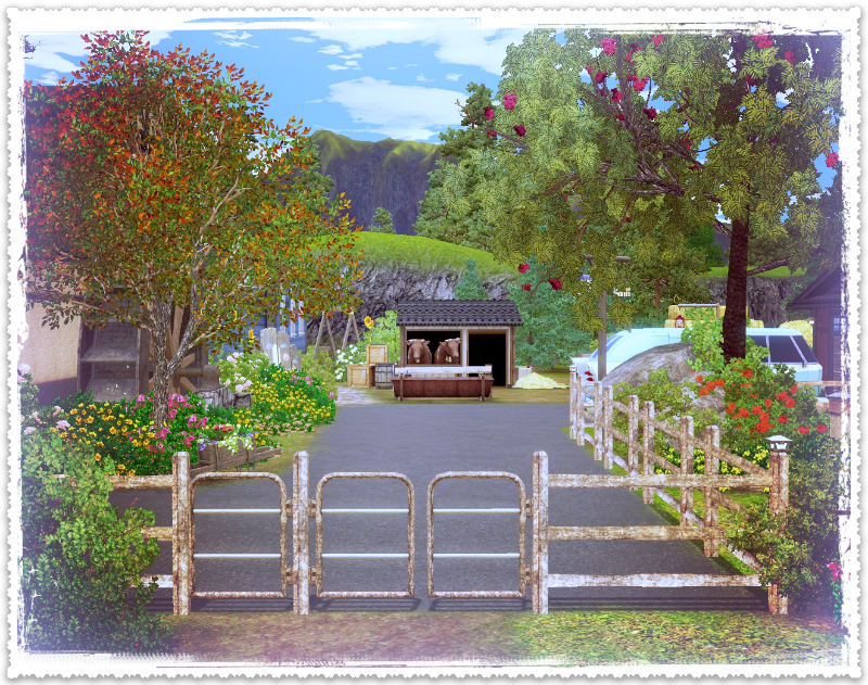 607b6679997c16985b729c3b9e476ca5.png