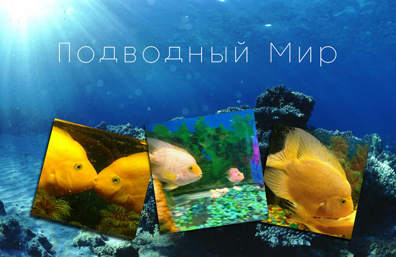 0_1eedb7_8a3c4b63_orig.jpg