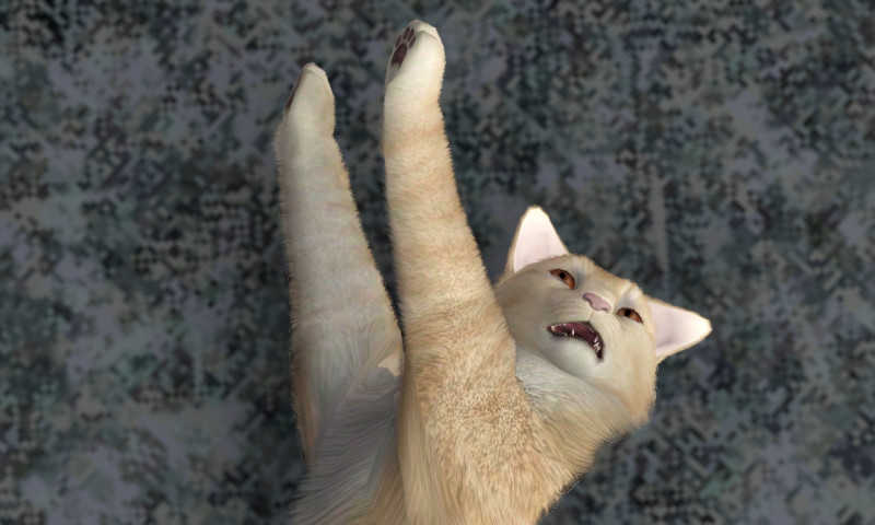 2d5df31b6fdd0d5e413514fa01aebb1e.jpg