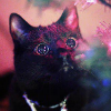 bbafadd2ffb25a71c7fc71bd9d62da37.png