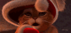 6736d27b9757d2b7008550e442de2fbb.gif
