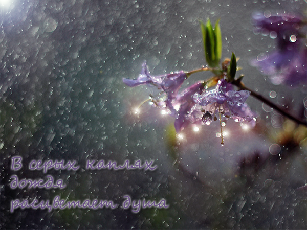 644b4d0dc9d4f6c4a20a87abaeb594cf.png